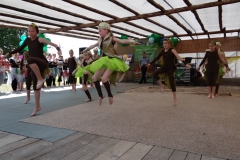 DSC02588