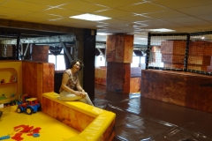 DSC03460