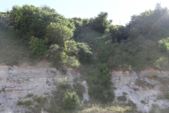 DSC07730