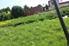 20170530_112022