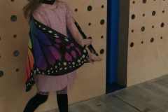 0961aac5-b70e-4647-97f2-a03c36a69a4e