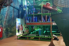 IMG20250602095039