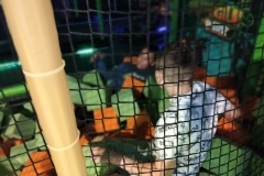 IMG20250602101739