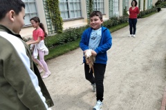 IMG20250528105447
