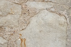 IMG20250624104319