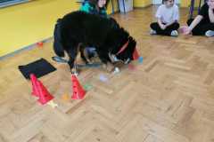 Messenger_creation_556E40A7-FB14-4026-A0F1-14BAB99EDE42