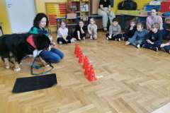 Messenger_creation_601E4C91-6117-460C-8137-D961AF736FB7