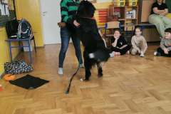 Messenger_creation_85CC2A2C-BAC3-4D77-BDA8-2D7C706497AD