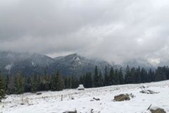 image000005-2